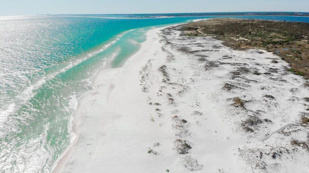 Quiet Relaxing Home - Close To Downtown & Beach 4Br-2Bt Pensacola Exteriör bild